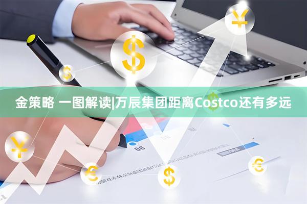 金策略 一图解读|万辰集团距离Costco还有多远
